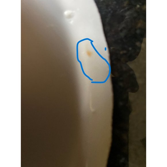 Pope Gosser Blue Floral 7" Serving Bowl - Picture 9 of 9